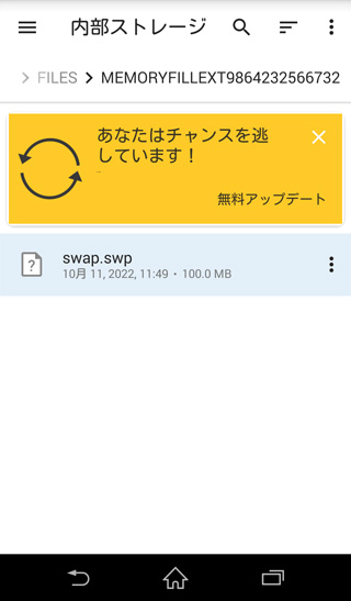 MemoryFill swap.swp