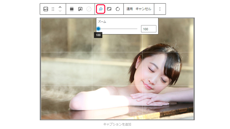 WordPress 切り抜きのズームツール
