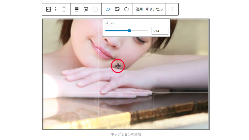 WordPress 切り抜きのズームツール ドラッグで移動