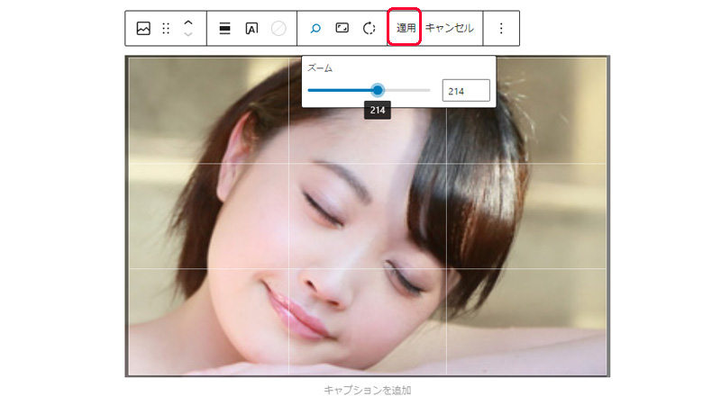 WordPress WordPress 切り抜きのズームツール適用