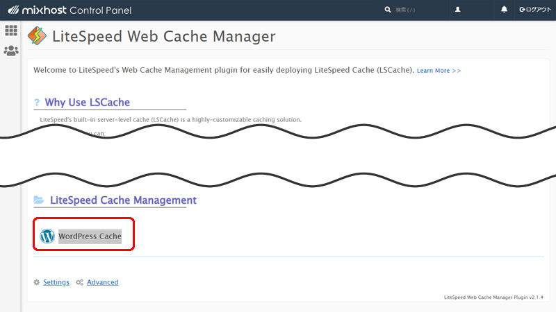 LiteSpeed Web Cache Manager WordPress Cache