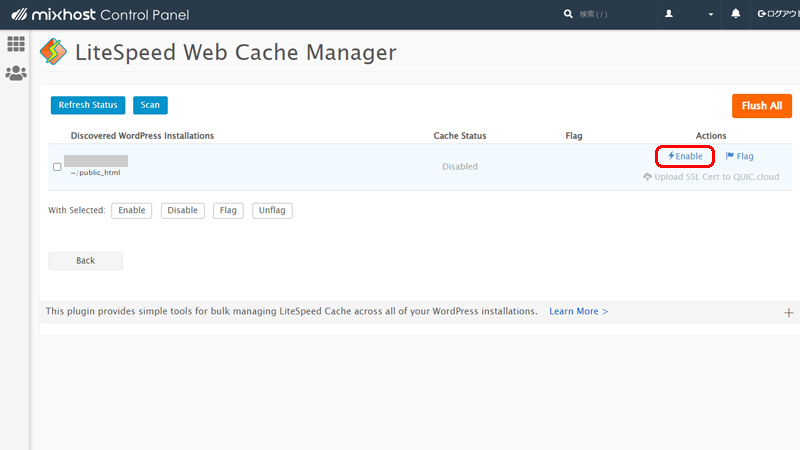 LiteSpeed Web Cache Manager Scan